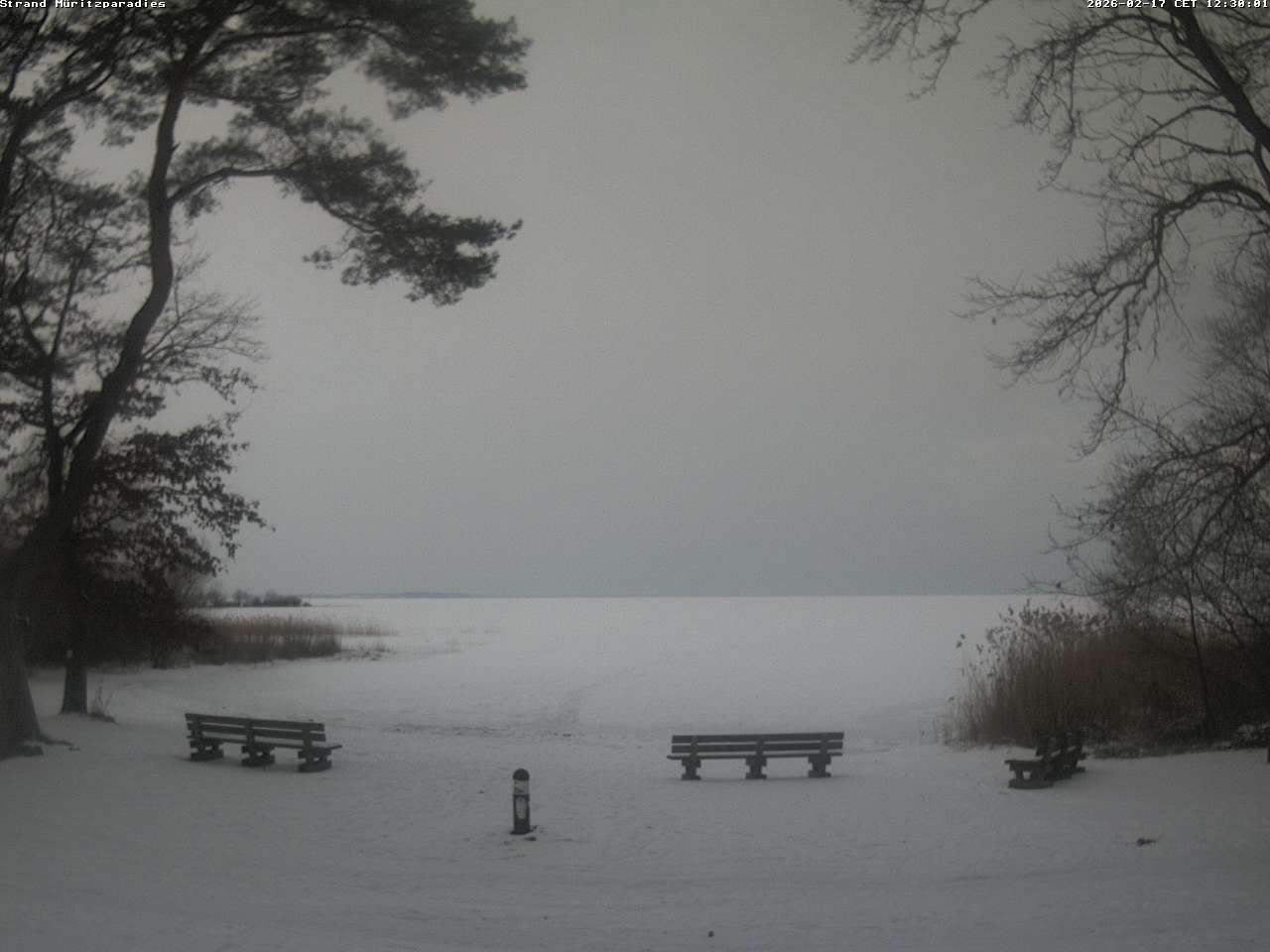 Archiv Foto Webcam Boek an der Müritz - Ostufer