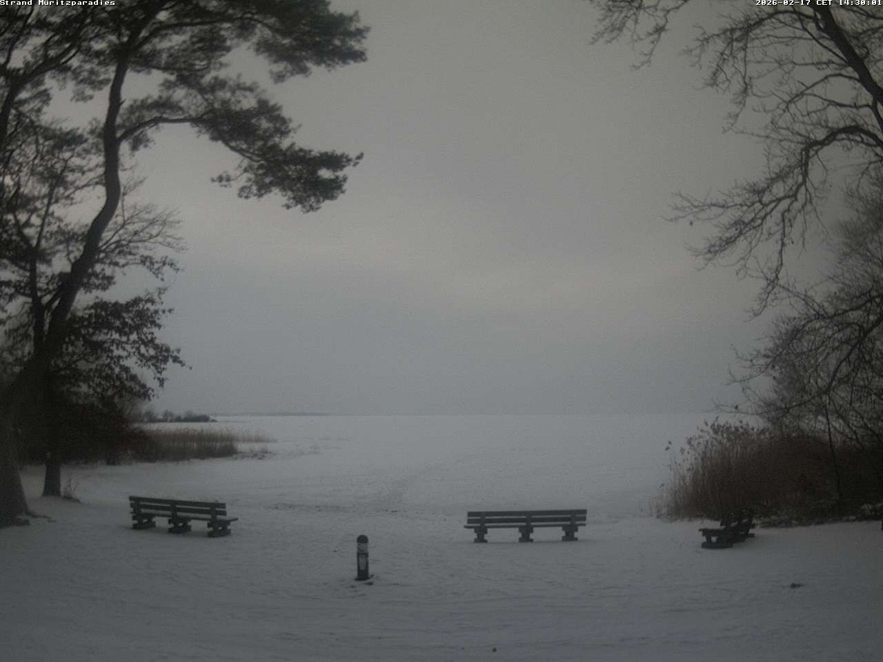 Archiv Foto Webcam Boek an der Müritz - Ostufer