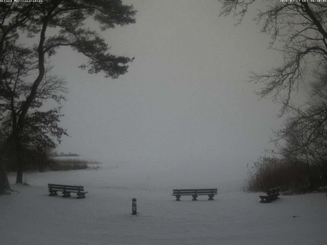 Archiv Foto Webcam Boek an der Müritz - Ostufer