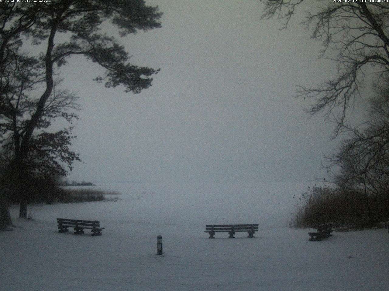 Archiv Foto Webcam Boek an der Müritz - Ostufer