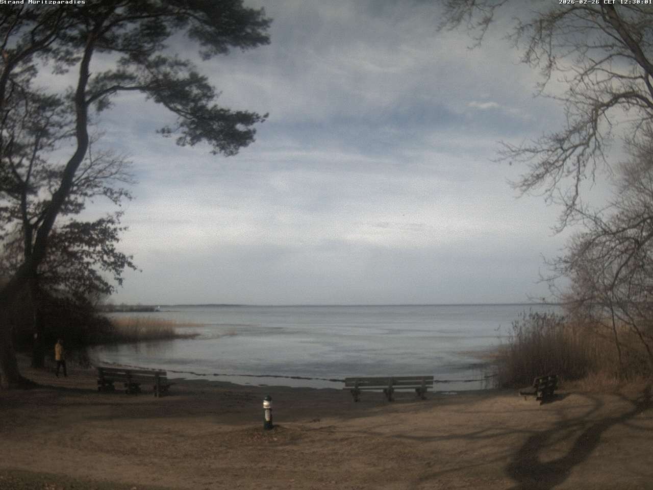 Archived image Webcam Boek (Müritz)