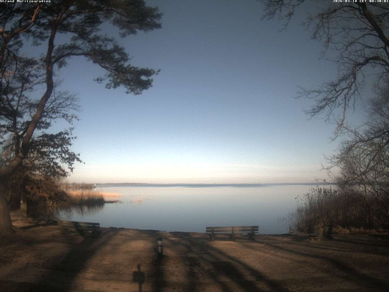 Archiv Foto Webcam Boek an der Müritz - Ostufer