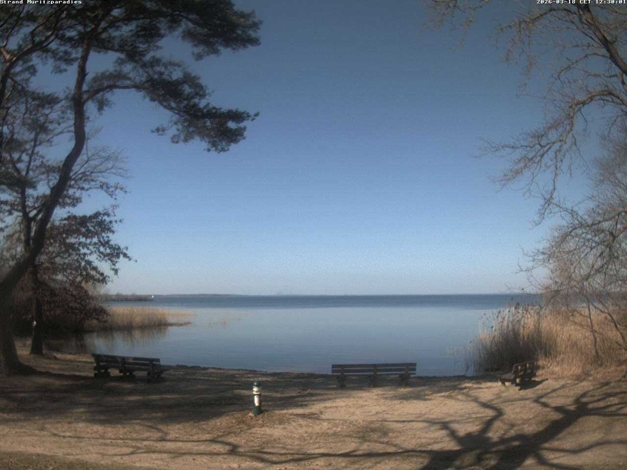 Archiv Foto Webcam Boek an der Müritz - Ostufer