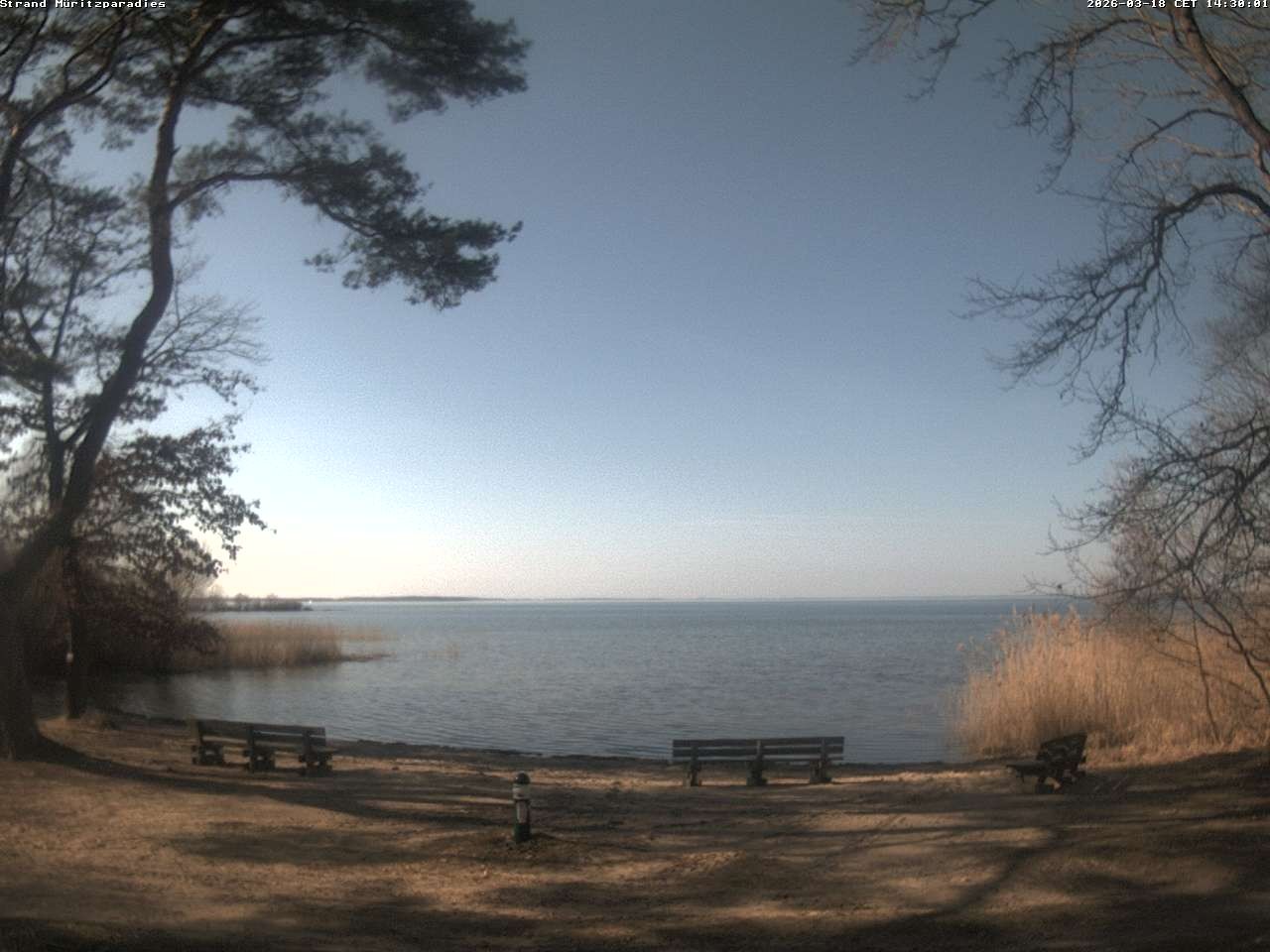 Archiv Foto Webcam Boek an der Müritz - Ostufer