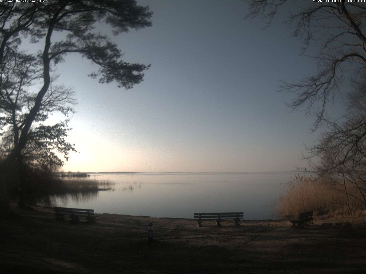 Archiv Foto Webcam Boek an der Müritz - Ostufer