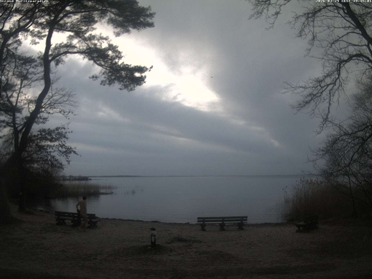 Archiv Foto Webcam Boek an der Müritz - Ostufer