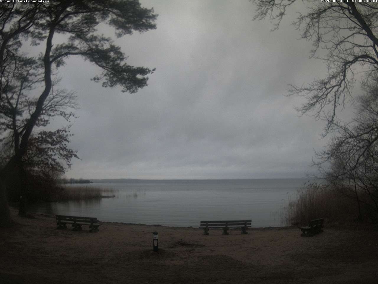 Archiv Foto Webcam Boek an der Müritz - Ostufer