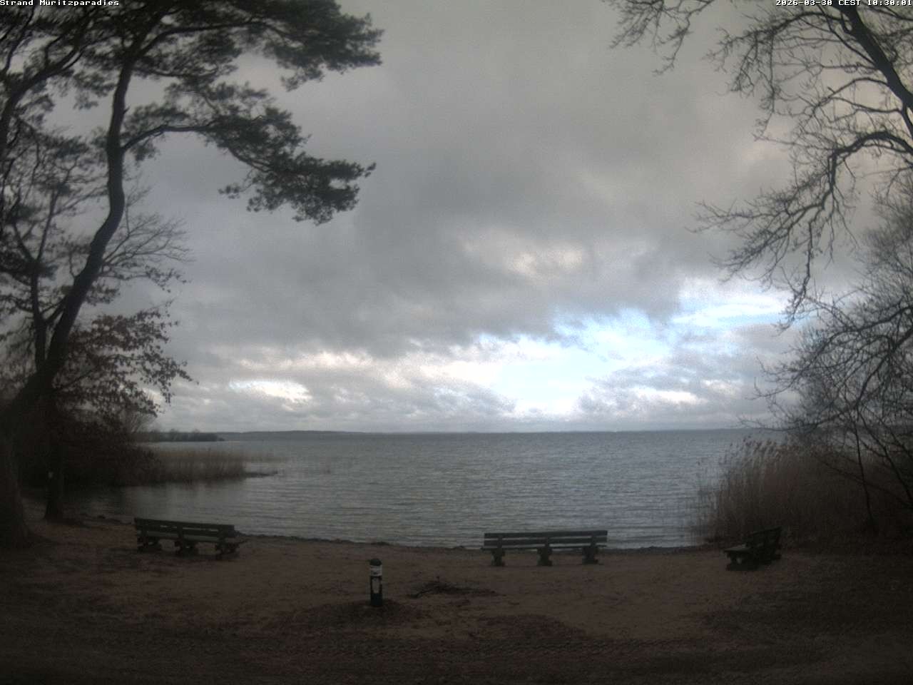 Archiv Foto Webcam Boek an der Müritz - Ostufer