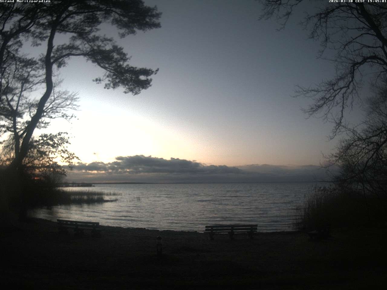 Archiv Foto Webcam Boek an der Müritz - Ostufer