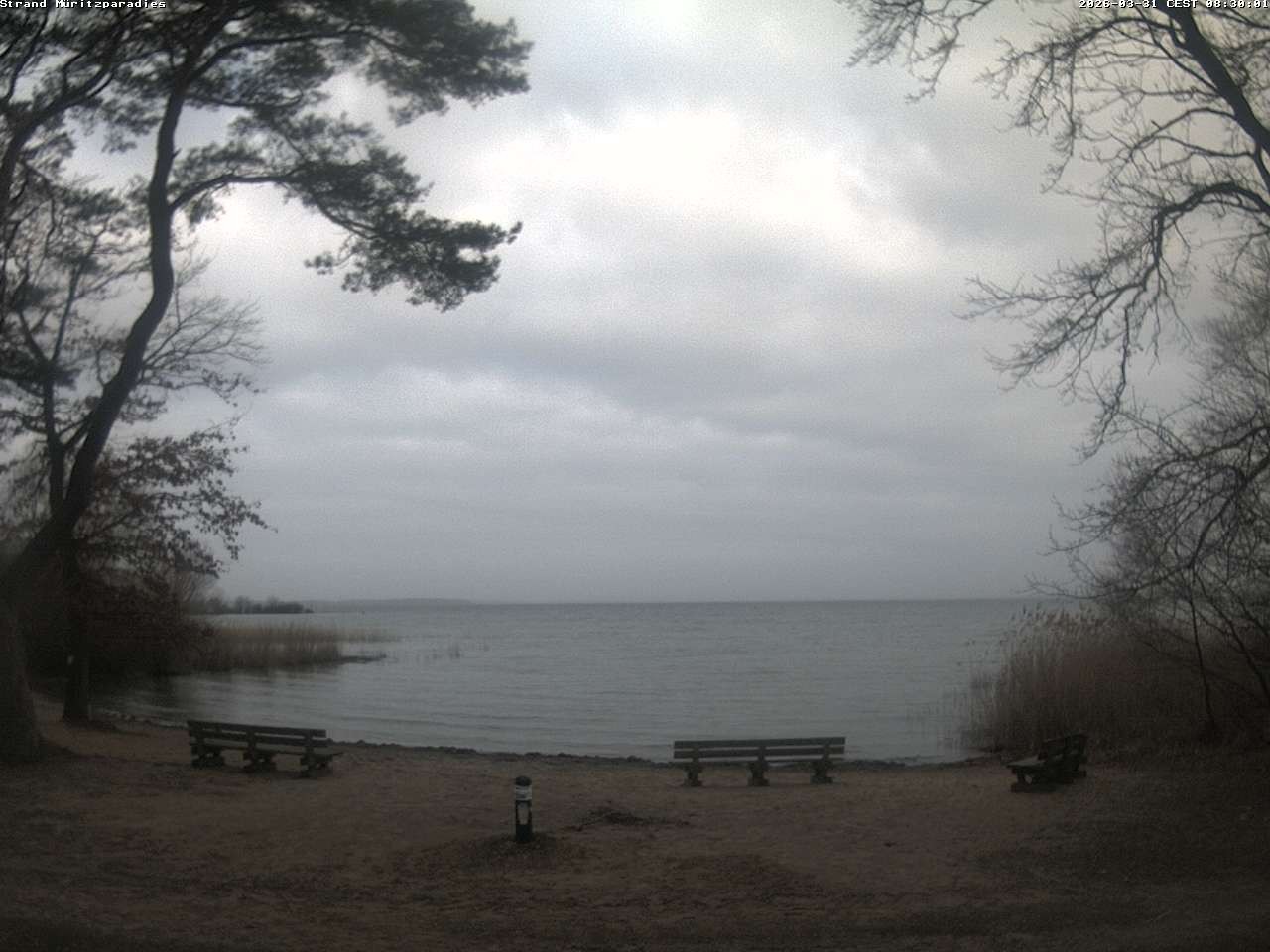 Archiv Foto Webcam Boek an der Müritz - Ostufer