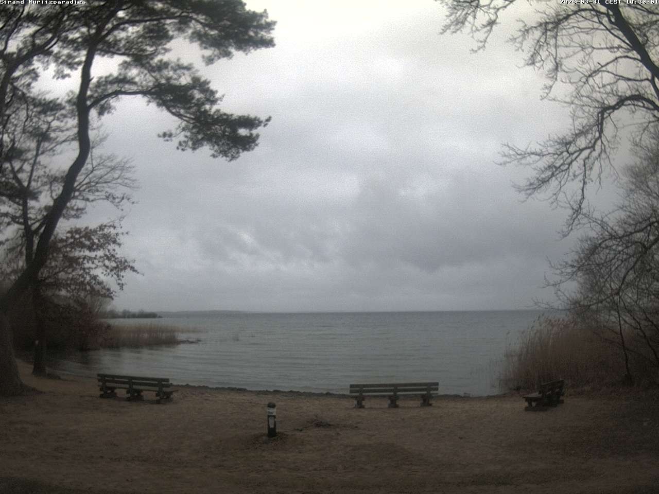 Archiv Foto Webcam Boek an der Müritz - Ostufer