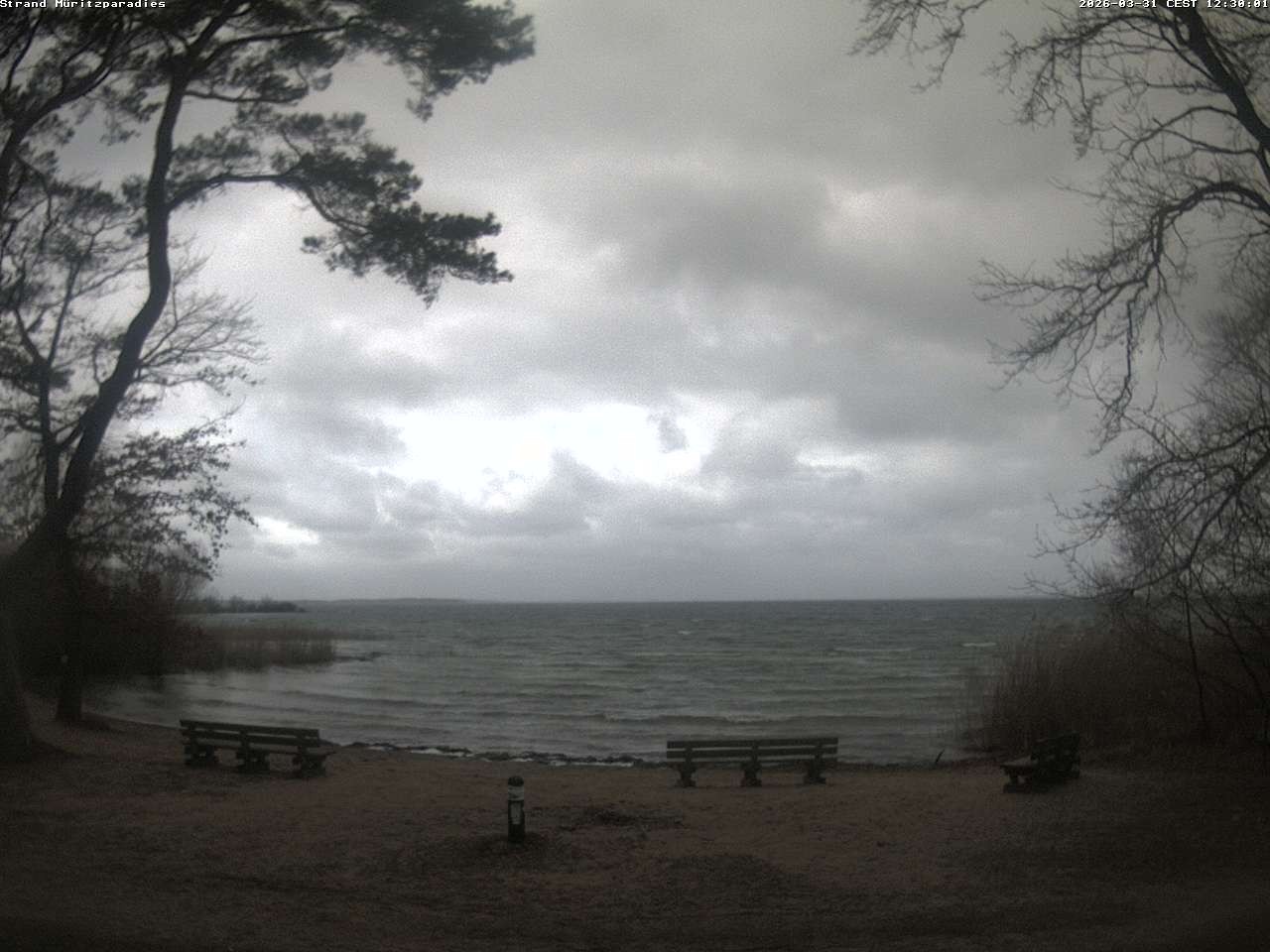 Archiv Foto Webcam Boek an der Müritz - Ostufer
