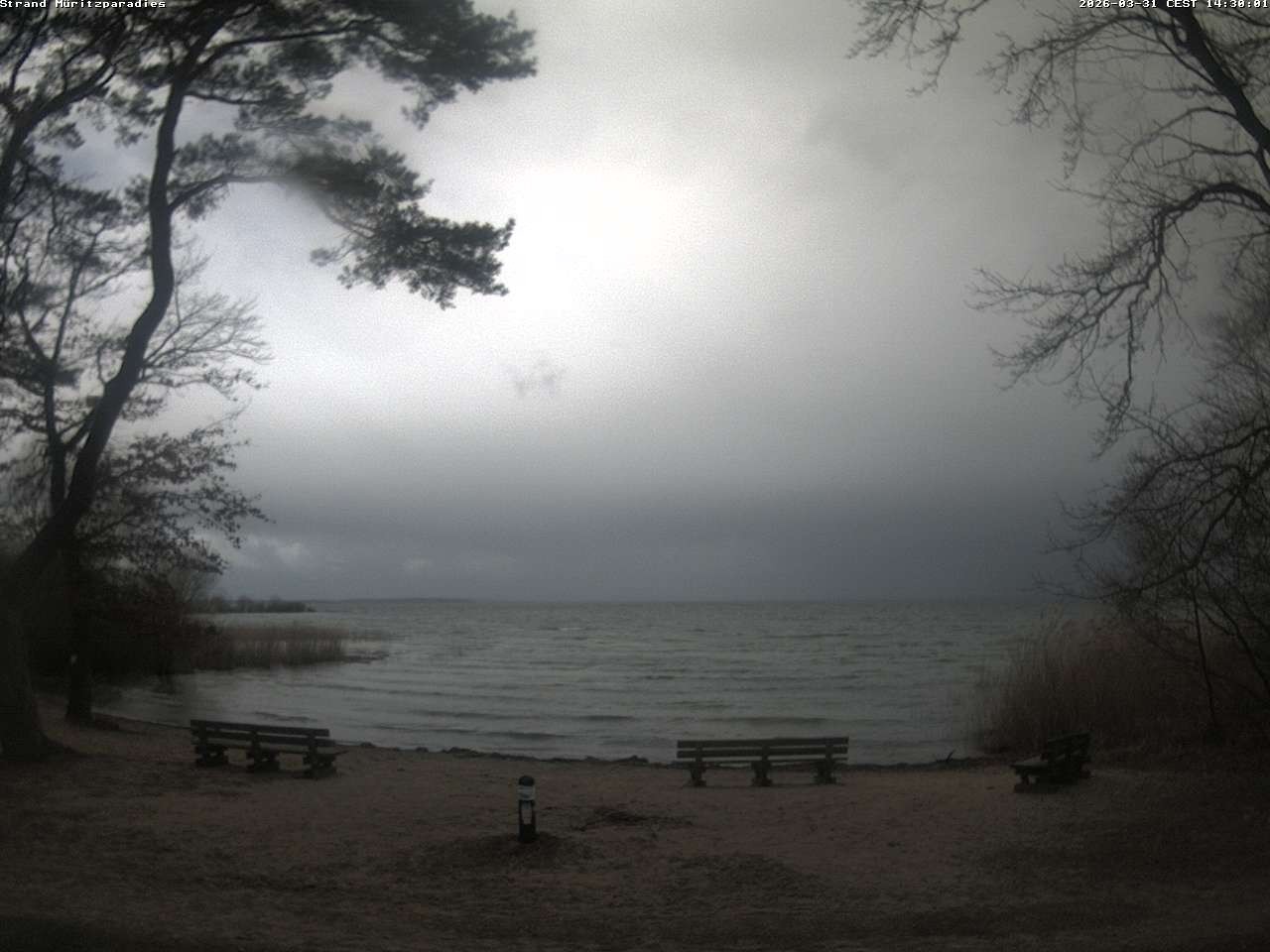 Archiv Foto Webcam Boek an der Müritz - Ostufer