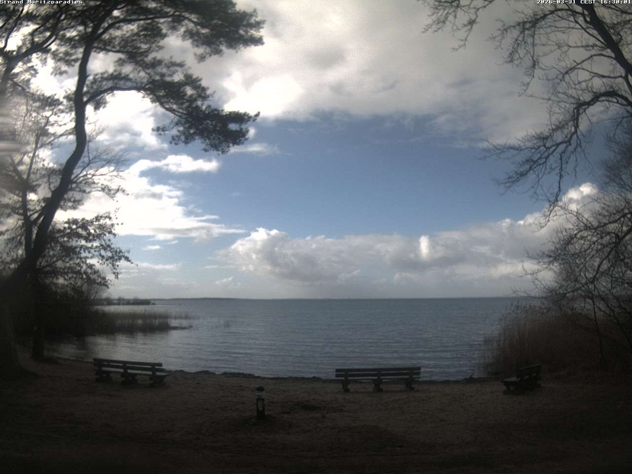 Archiv Foto Webcam Boek an der Müritz - Ostufer