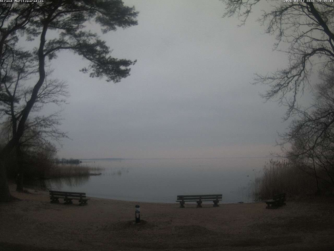 Archived image Webcam Boek (Müritz)