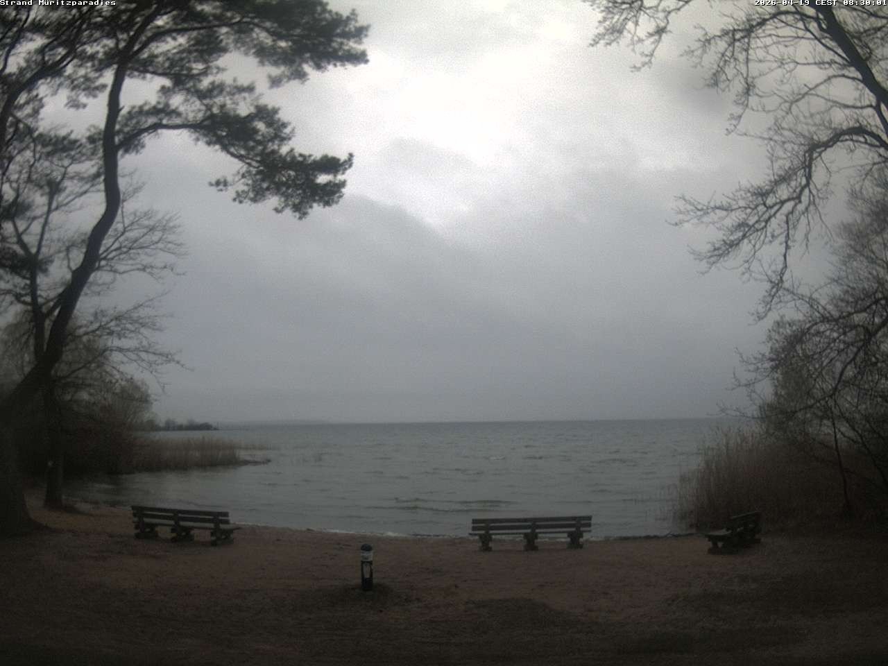 Archiv Foto Webcam Boek an der Müritz - Ostufer