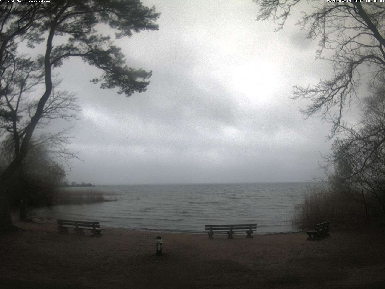 Archiv Foto Webcam Boek an der Müritz - Ostufer