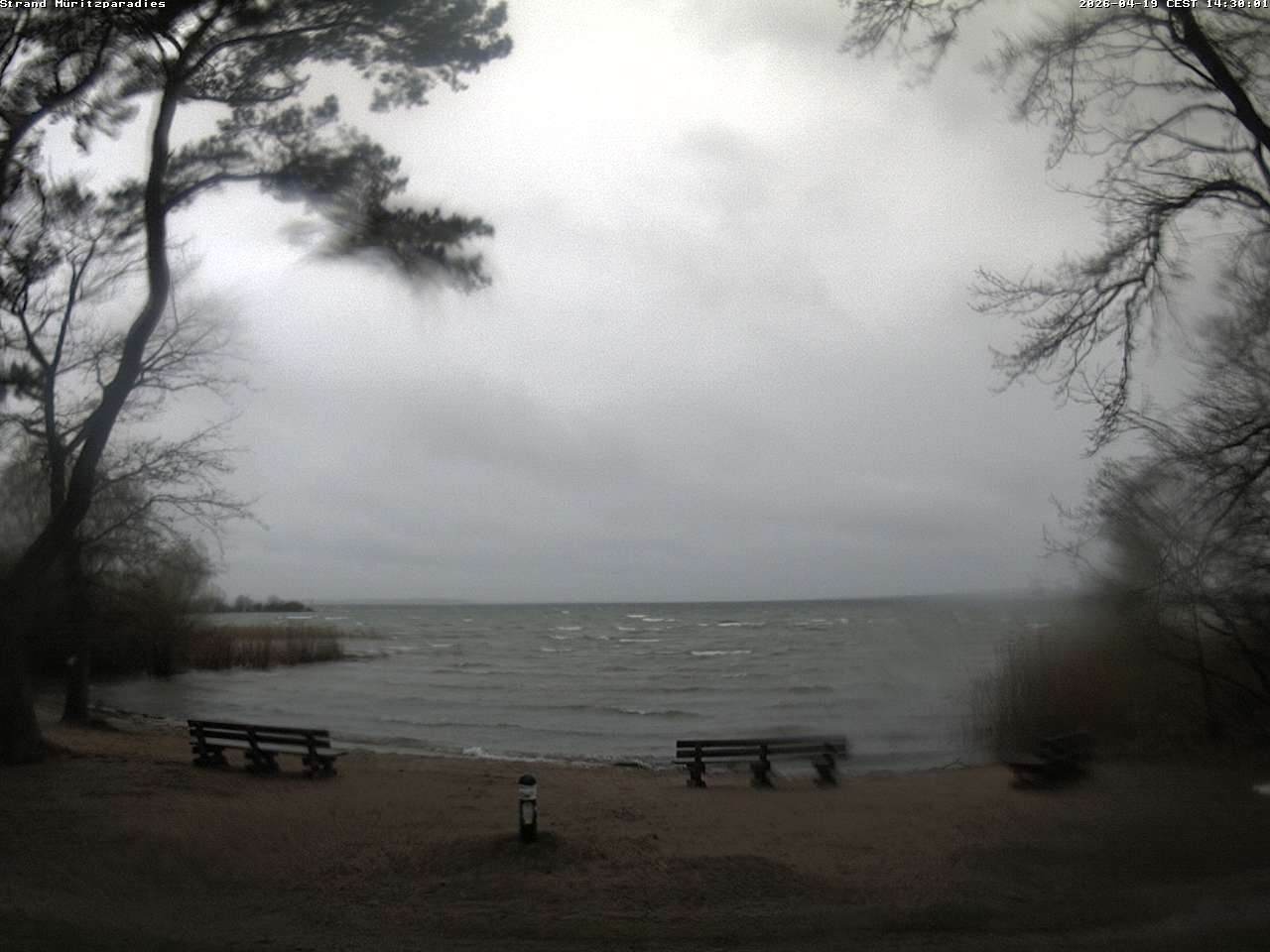 Archiv Foto Webcam Boek an der Müritz - Ostufer