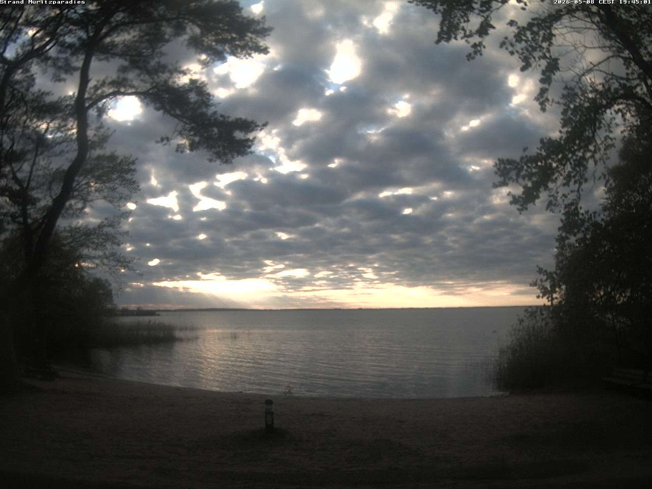 Archiv Foto Webcam Boek an der Müritz - Ostufer