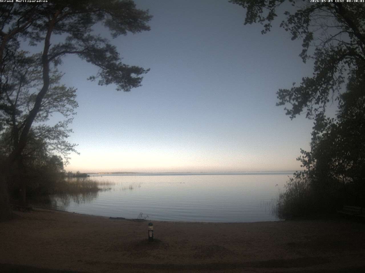 Archiv Foto Webcam Boek an der Müritz - Ostufer