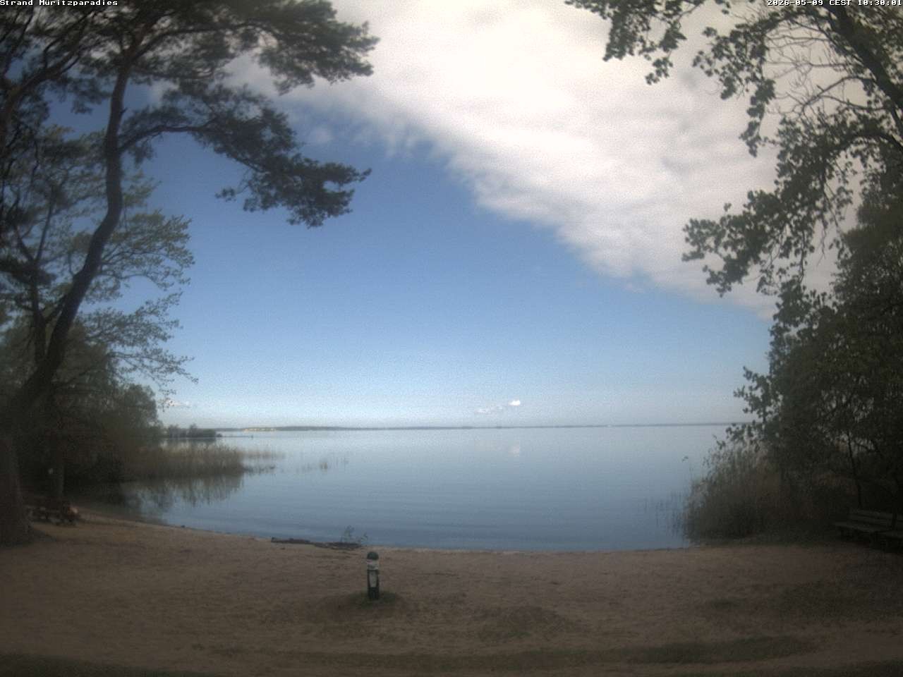 Archiv Foto Webcam Boek an der Müritz - Ostufer