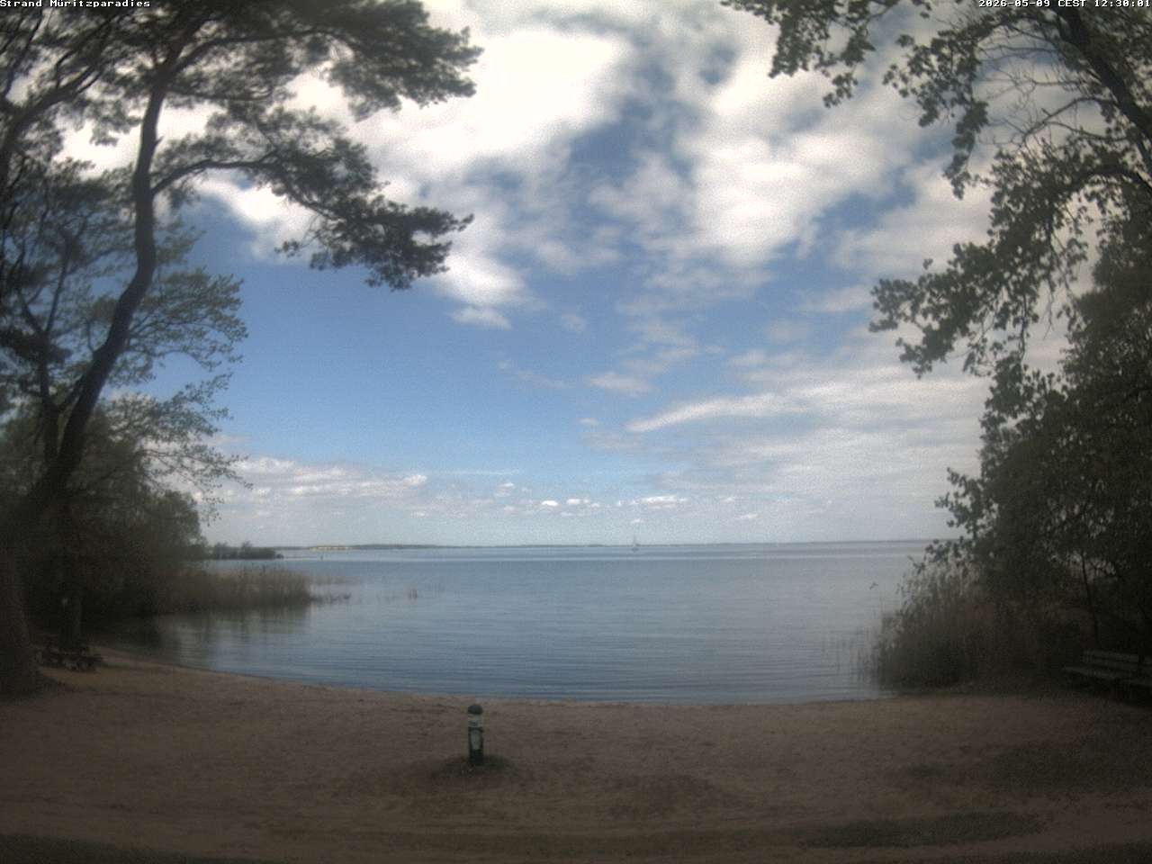 Archiv Foto Webcam Boek an der Müritz - Ostufer