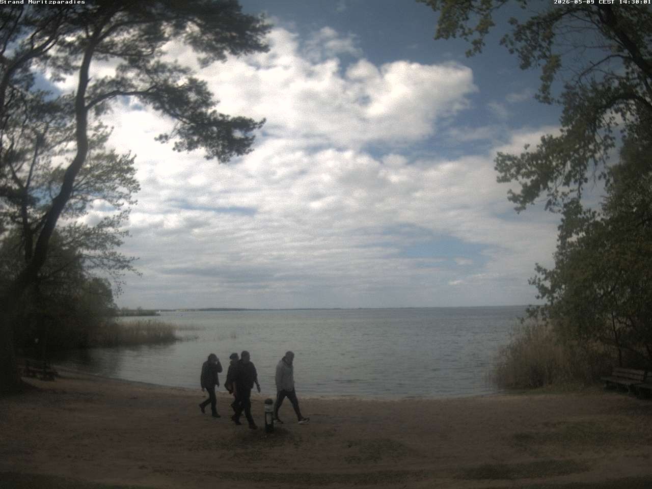 Archiv Foto Webcam Boek an der Müritz - Ostufer