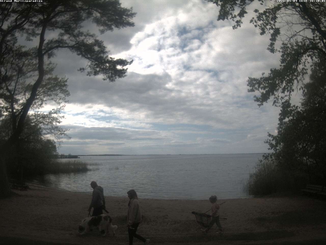 Archiv Foto Webcam Boek an der Müritz - Ostufer