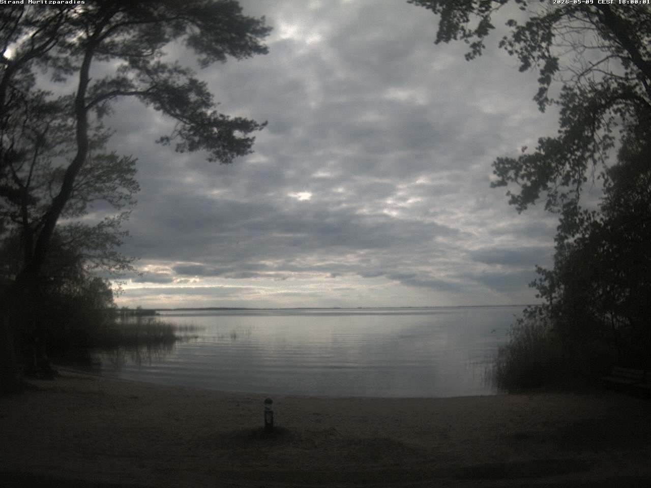 Archiv Foto Webcam Boek an der Müritz - Ostufer