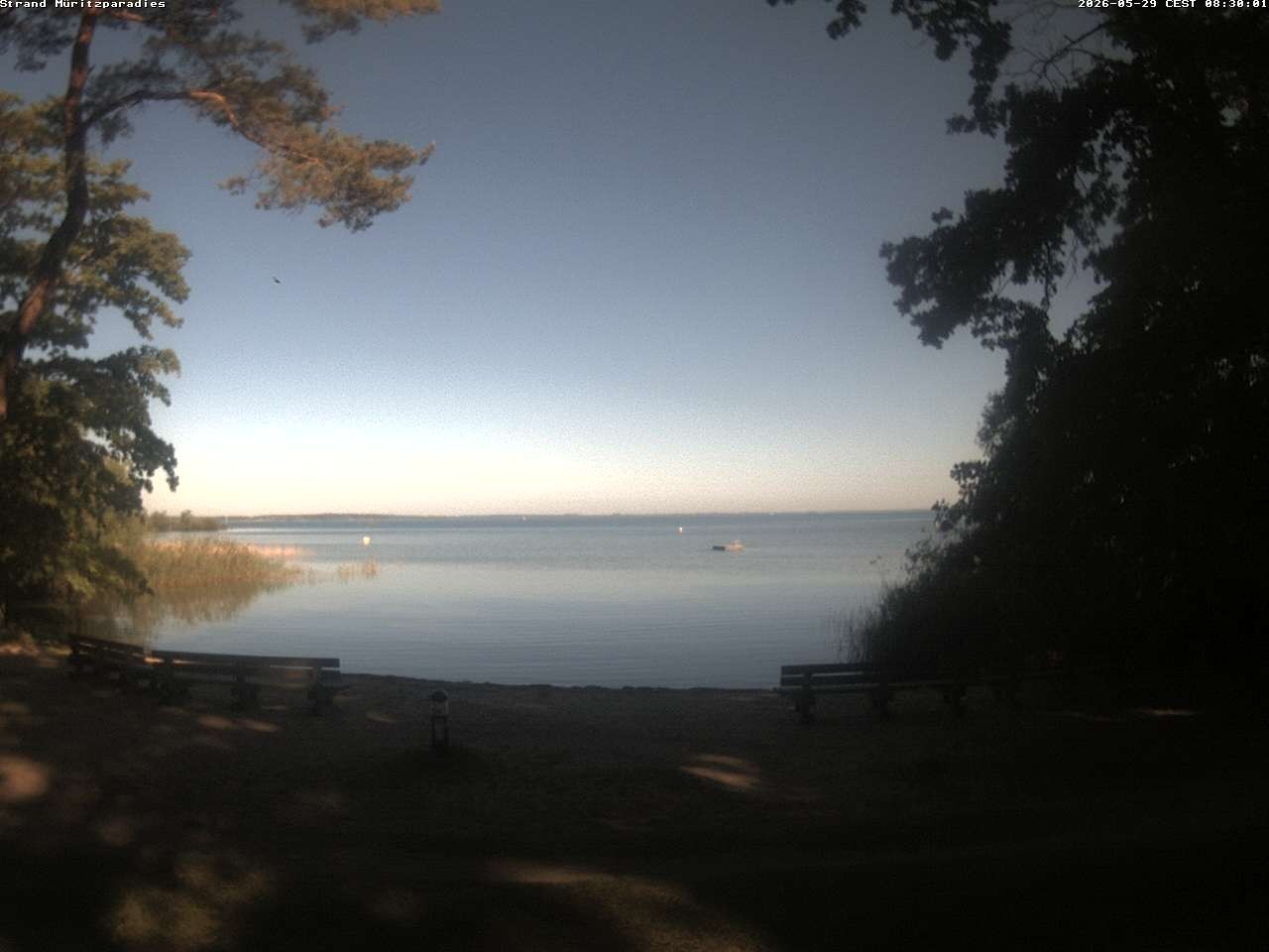 Archiv Foto Webcam Boek an der Müritz - Ostufer