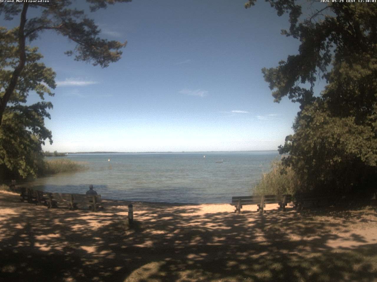 Archiv Foto Webcam Boek an der Müritz - Ostufer