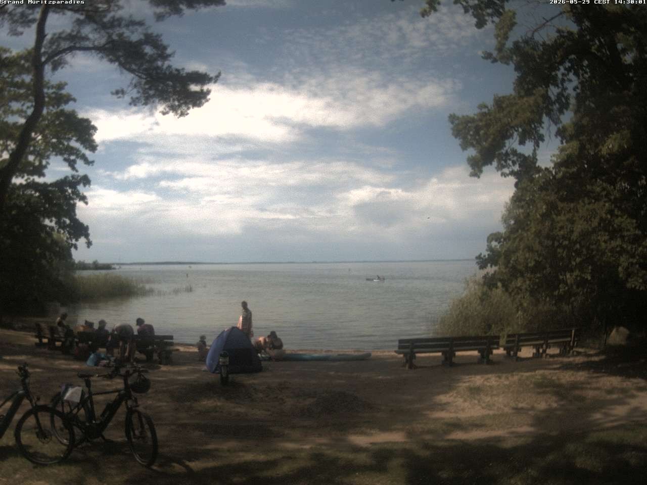 Archiv Foto Webcam Boek an der Müritz - Ostufer