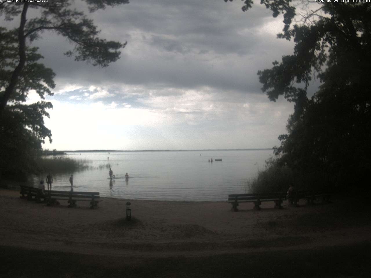 Archiv Foto Webcam Boek an der Müritz - Ostufer