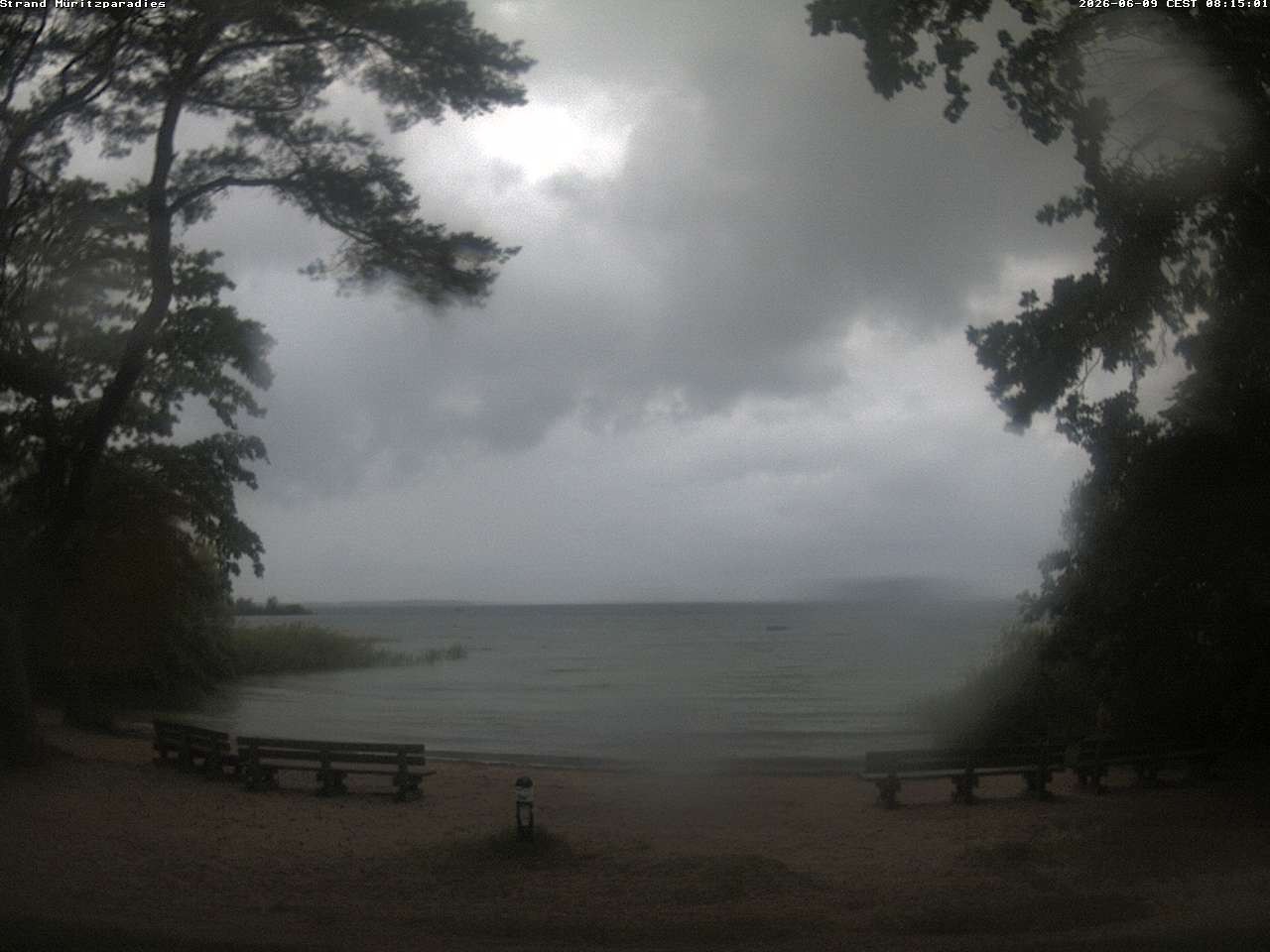 Archiv Foto Webcam Boek an der Müritz - Ostufer