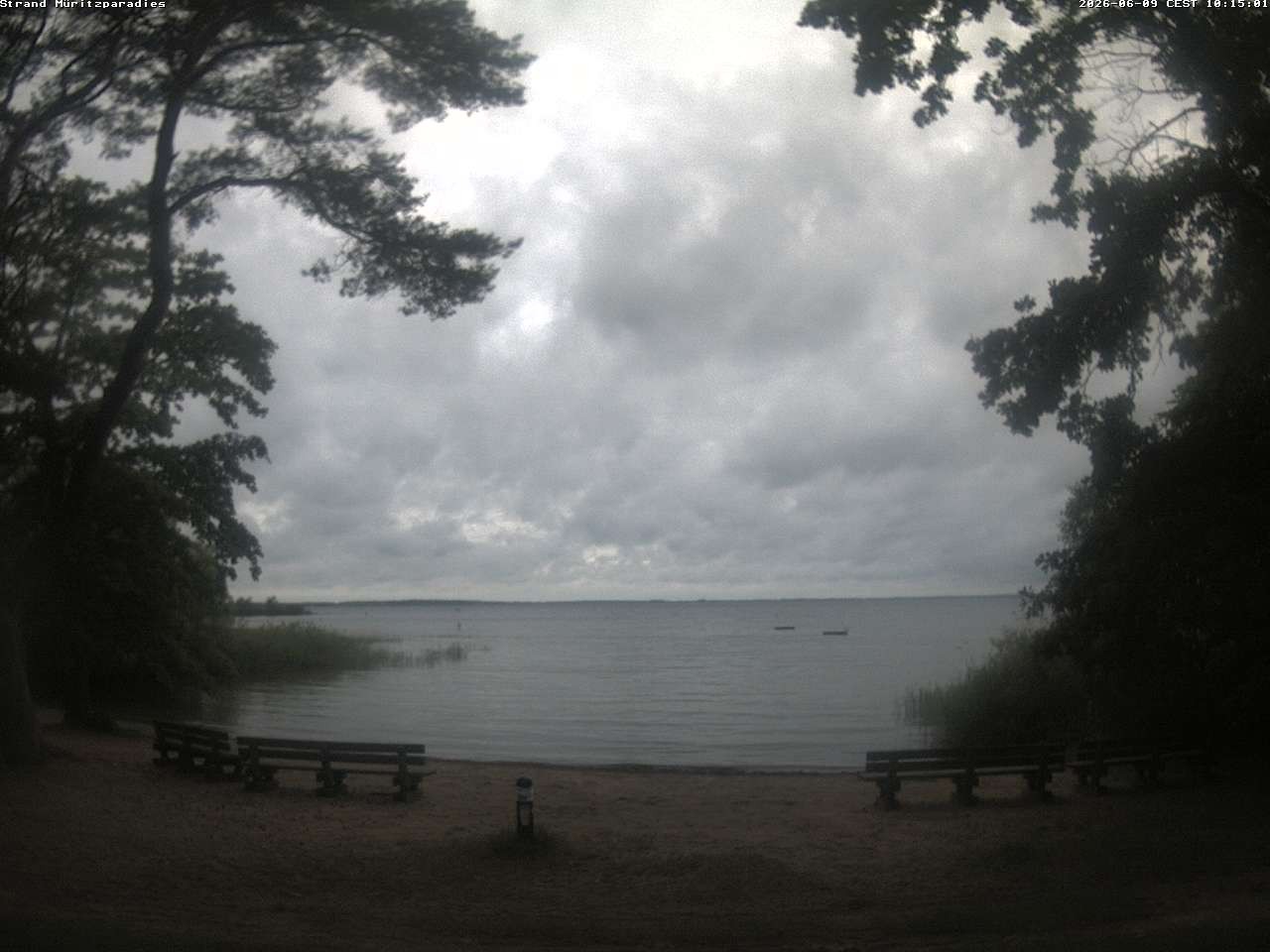Archiv Foto Webcam Boek an der Müritz - Ostufer
