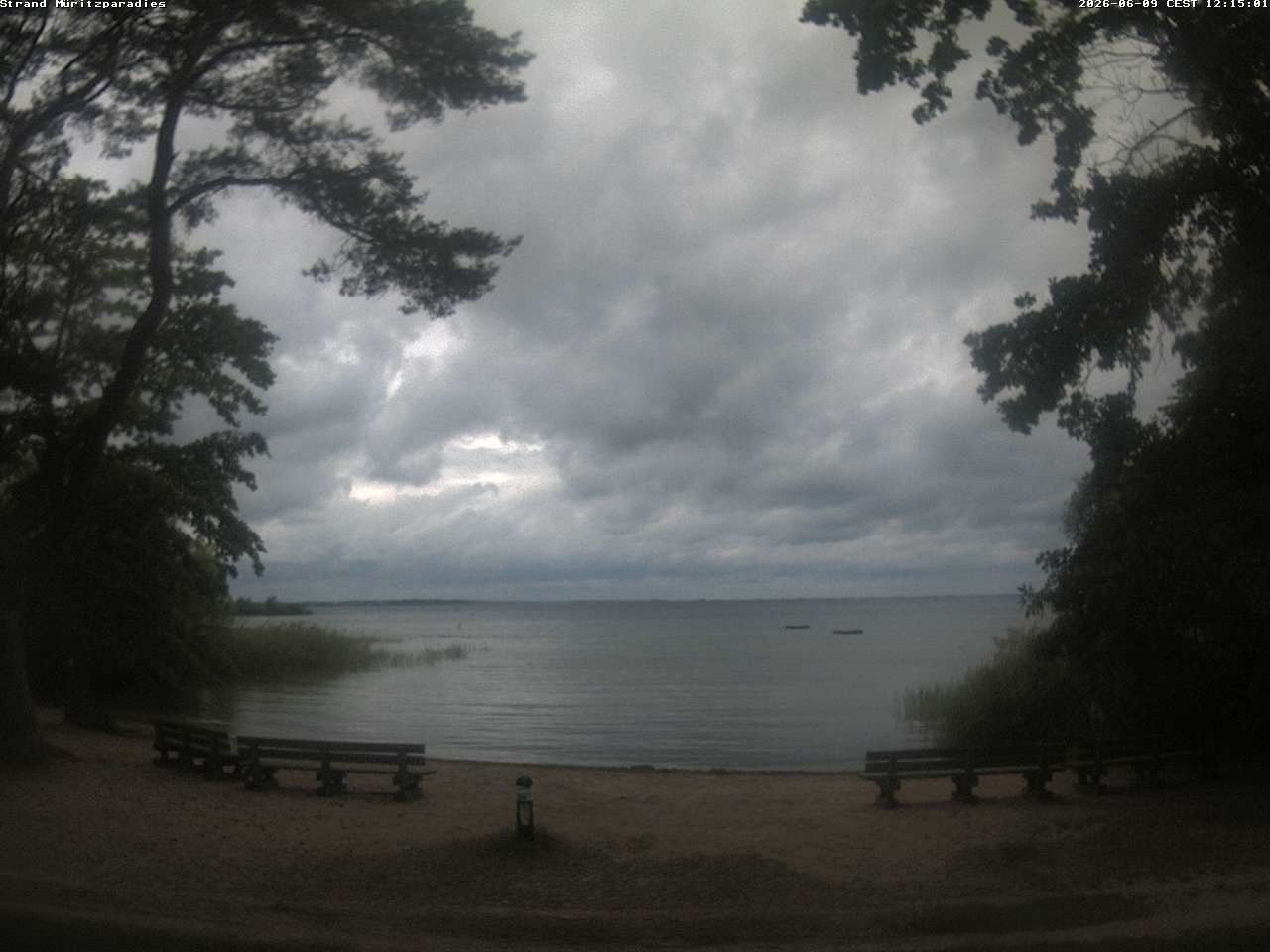 Archiv Foto Webcam Boek an der Müritz - Ostufer