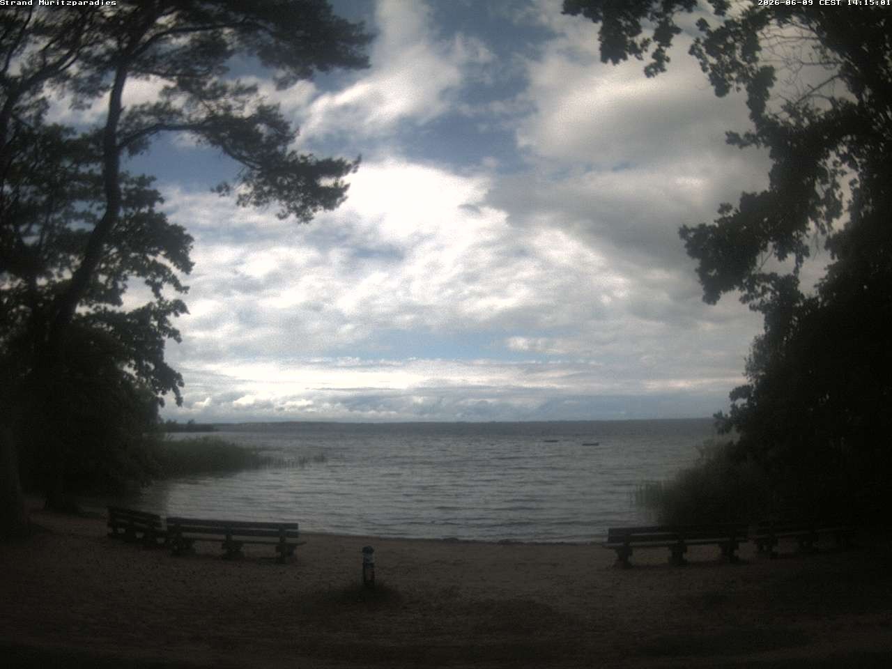 Archiv Foto Webcam Boek an der Müritz - Ostufer