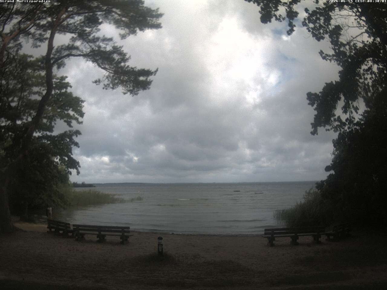 Archiv Foto Webcam Boek an der Müritz - Ostufer