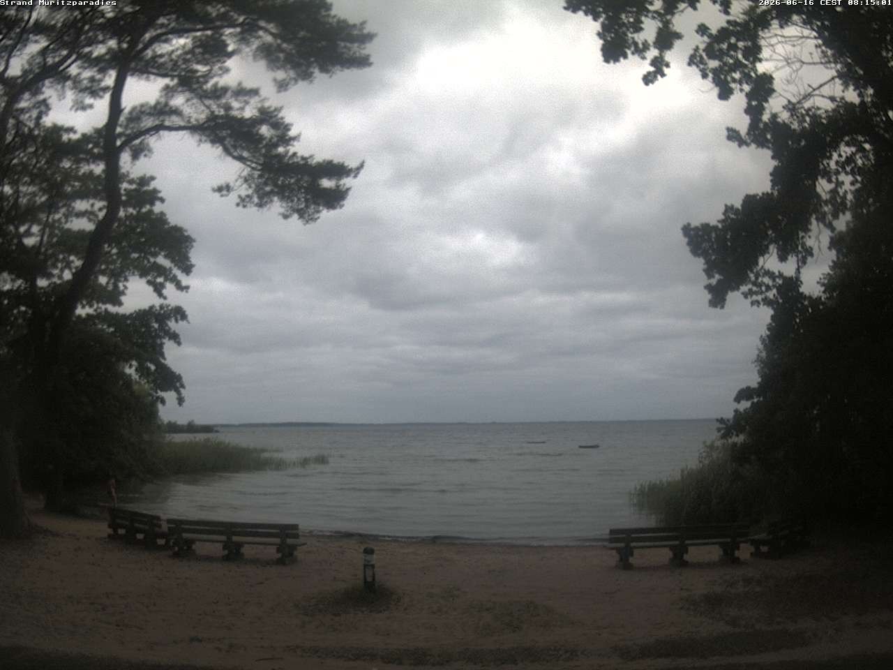 Archiv Foto Webcam Boek an der Müritz - Ostufer