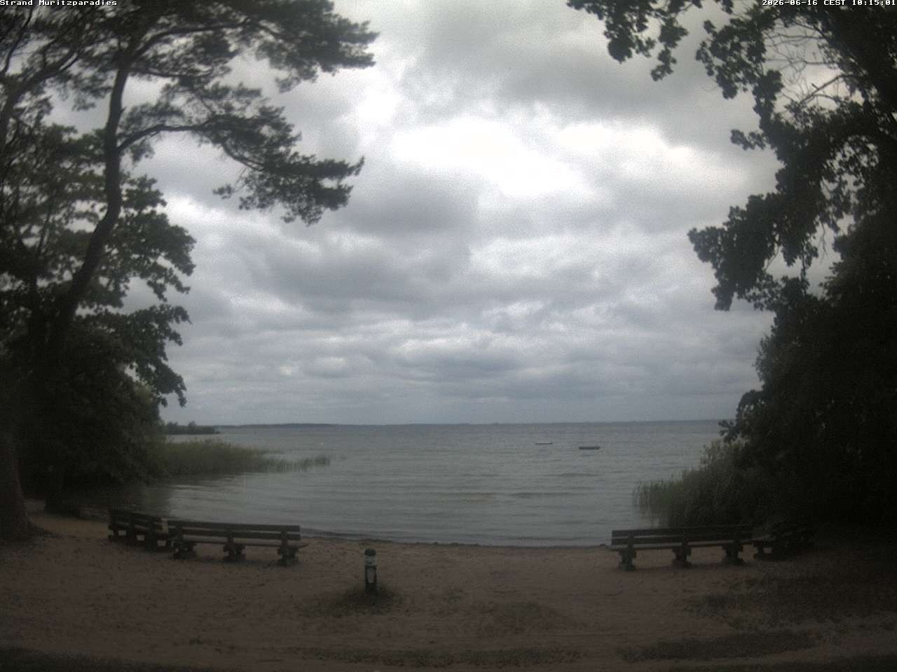 Archiv Foto Webcam Boek an der Müritz - Ostufer