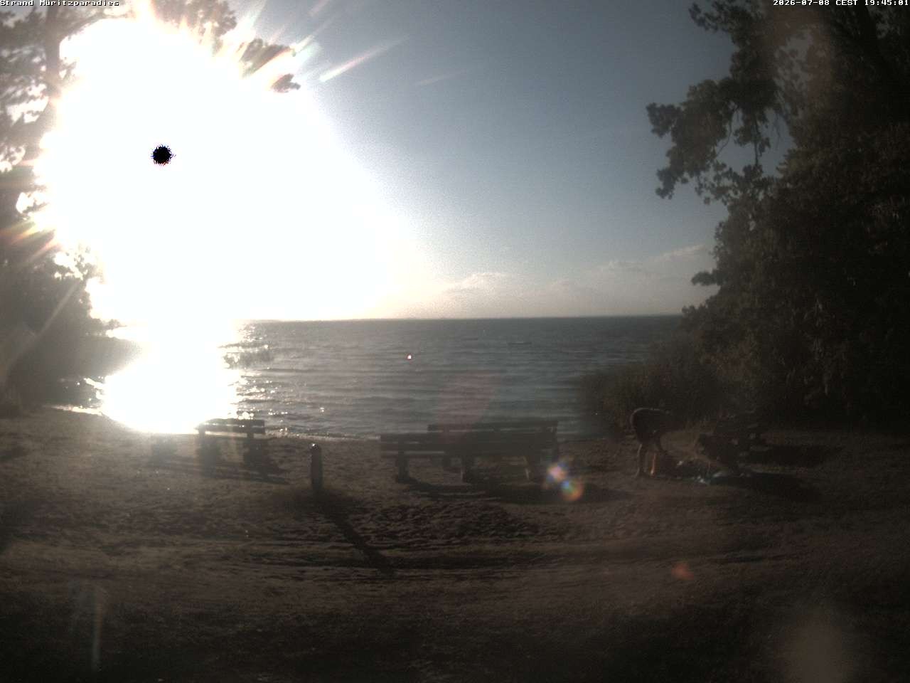 Archiv Foto Webcam Boek an der Müritz - Ostufer