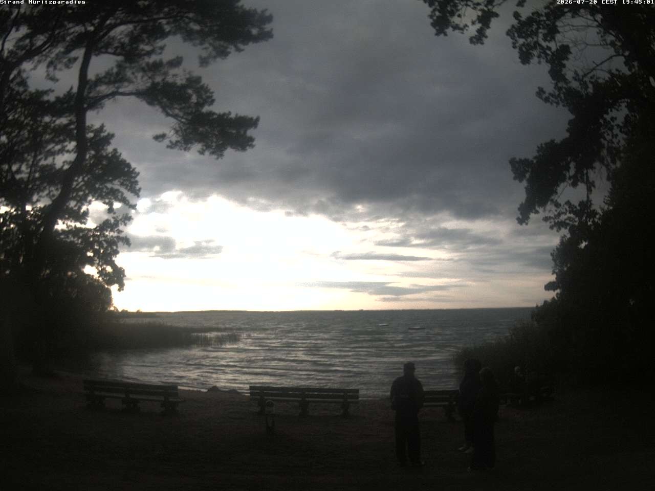 Archiv Foto Webcam Boek an der Müritz - Ostufer
