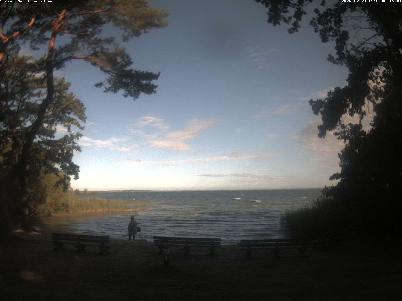 Archiv Foto Webcam Boek an der Müritz - Ostufer