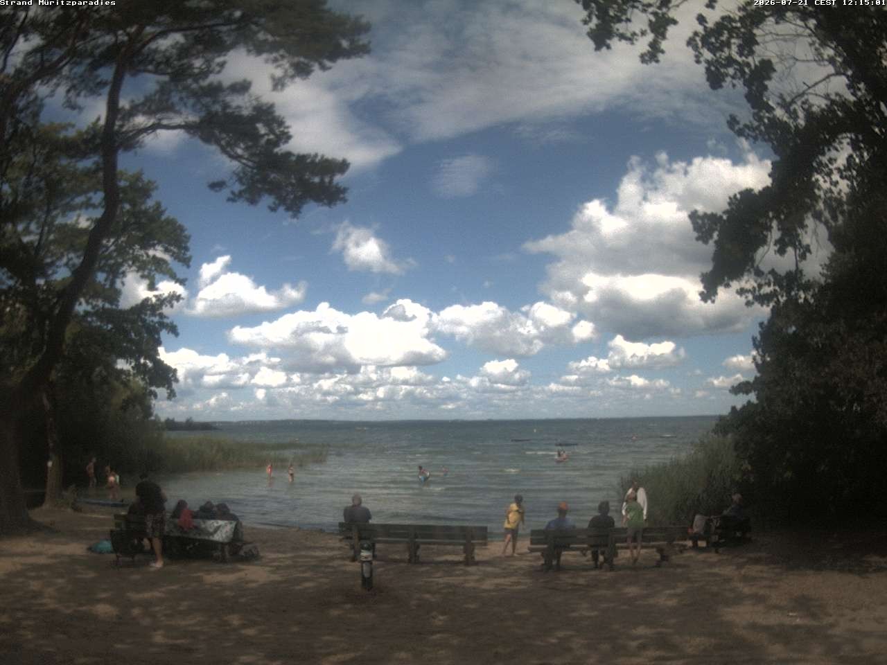 Archiv Foto Webcam Boek an der Müritz - Ostufer