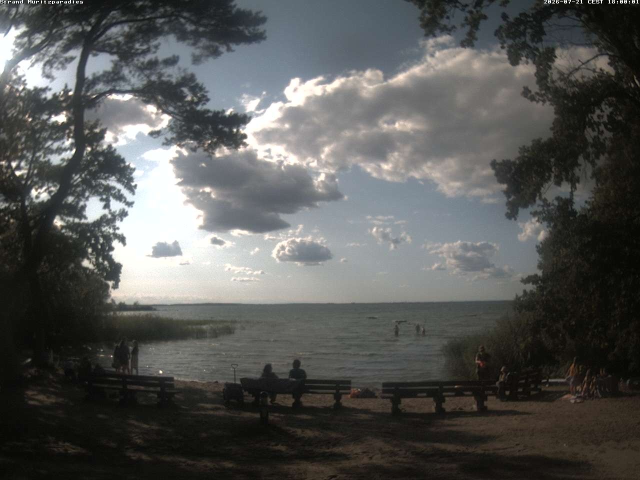 Archiv Foto Webcam Boek an der Müritz - Ostufer