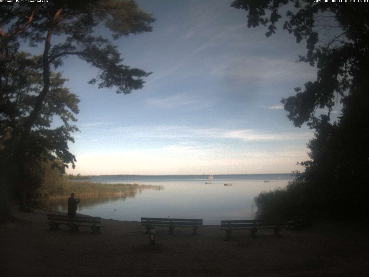 Archiv Foto Webcam Boek an der Müritz - Ostufer