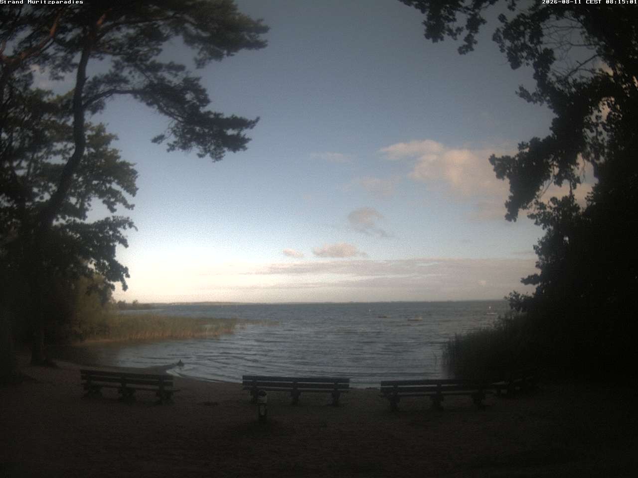 Archiv Foto Webcam Boek an der Müritz - Ostufer