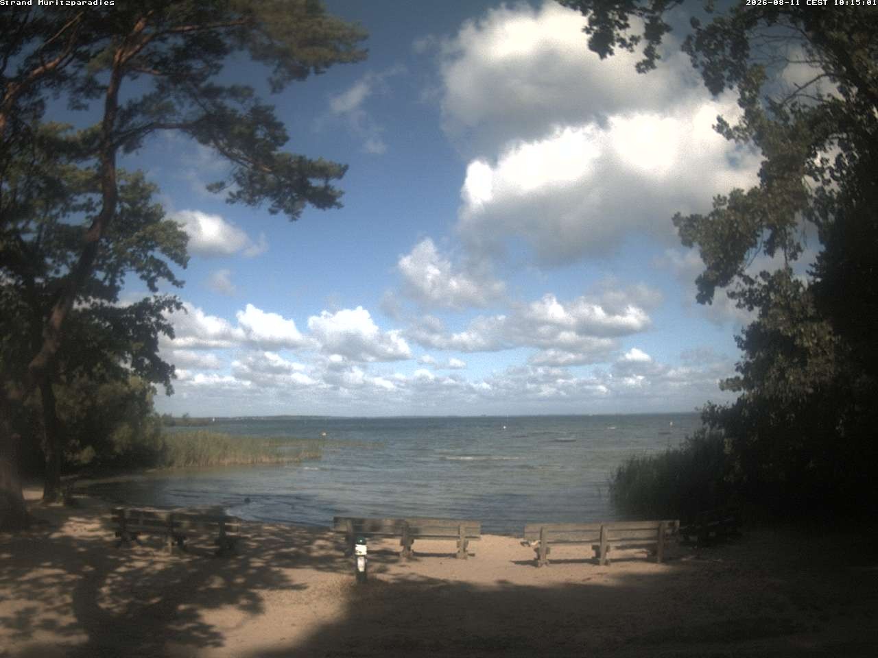 Archiv Foto Webcam Boek an der Müritz - Ostufer