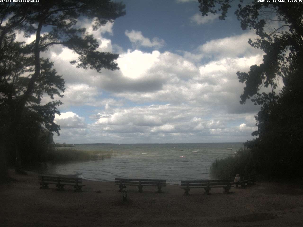 Archiv Foto Webcam Boek an der Müritz - Ostufer