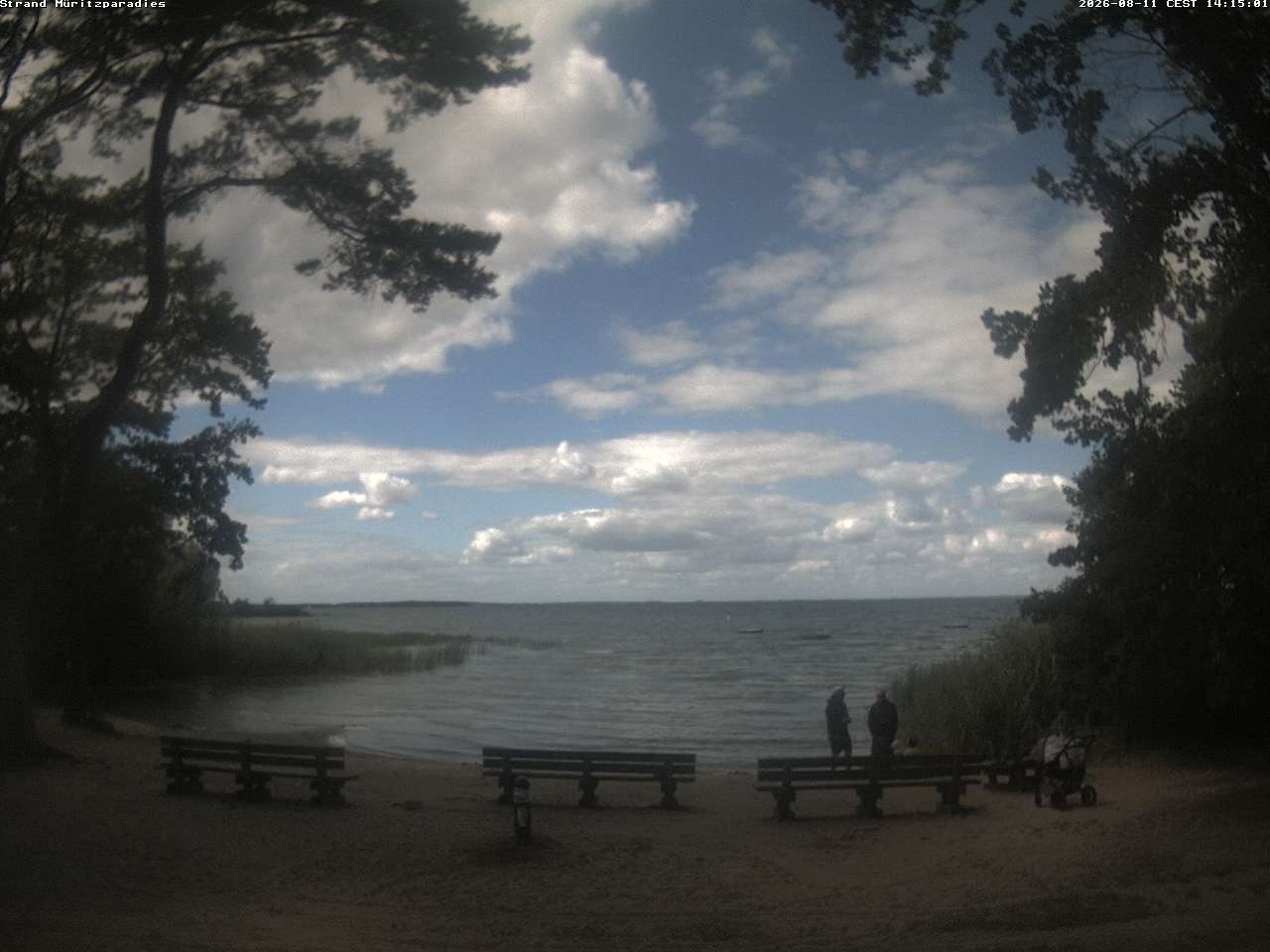 Archiv Foto Webcam Boek an der Müritz - Ostufer